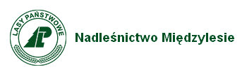 nadlesnictwo_miedzylesie.jpg